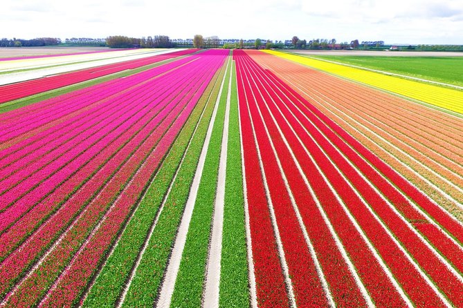 Private Keukenhof Park and Tulip Fields Tour (Skip-The-Line) - Key points to know before booking
