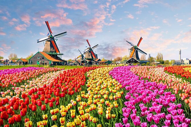Private Keukenhof Park and Tulip Fields Tour (Skip-The-Line) - Private Mercedes transport and flexible pickup