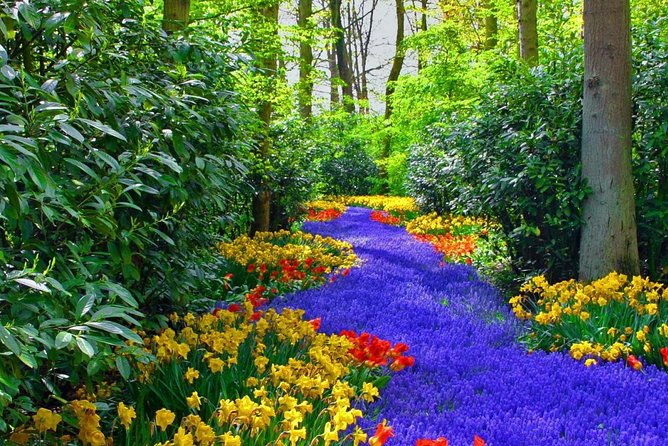 Private Keukenhof Park and Tulip Fields Tour (Skip-The-Line) - Who will appreciate this private tour