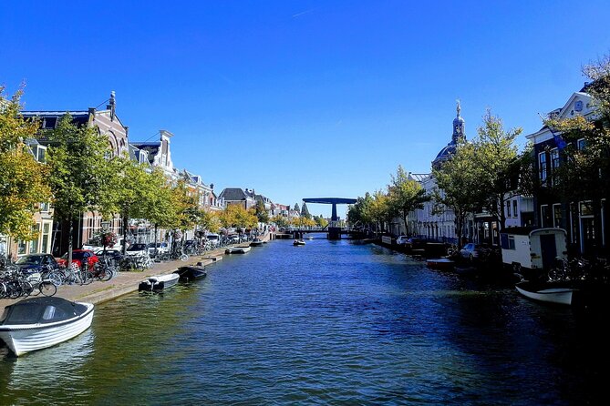 Private Tour to Kinderdijk and Delft / Leiden / Hague / Gouda - Who should choose this private day trip
