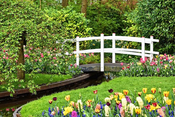 Private Tulip Fields, Windmills and Cheese Tour from Amsterdam - Tulip Experience Amsterdam explains the flower business