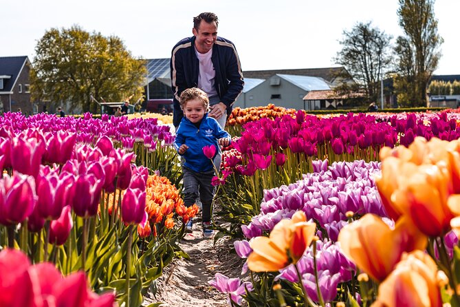 Private Tulip Fields, Windmills and Cheese Tour from Amsterdam - The clog demonstration keeps tradition practical