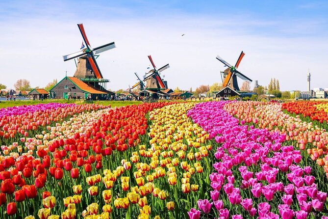 Private Zaanse Schans & Volendam Tour: Windmills, Cheese & Clogs - The guide is the key variable