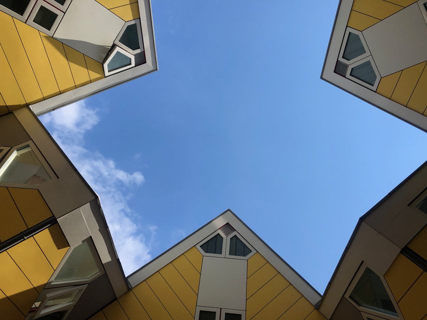 Rotterdam 2-Hour Grand Walking Tour - Why this short walk helps you understand Rotterdam