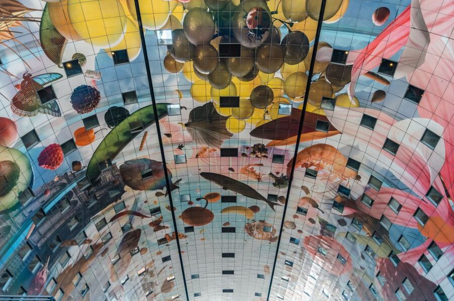 Rotterdam: Architectural Highlights Guided Walking Tour - Why Rotterdam needs an architecture tour