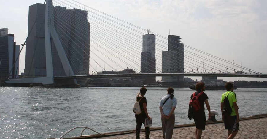 Rotterdam: Architectural Highlights Guided Walking Tour - How the pace and walking distance feel