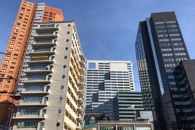 Rotterdam Architecture Highlights Walking Tour - The Cube Houses question