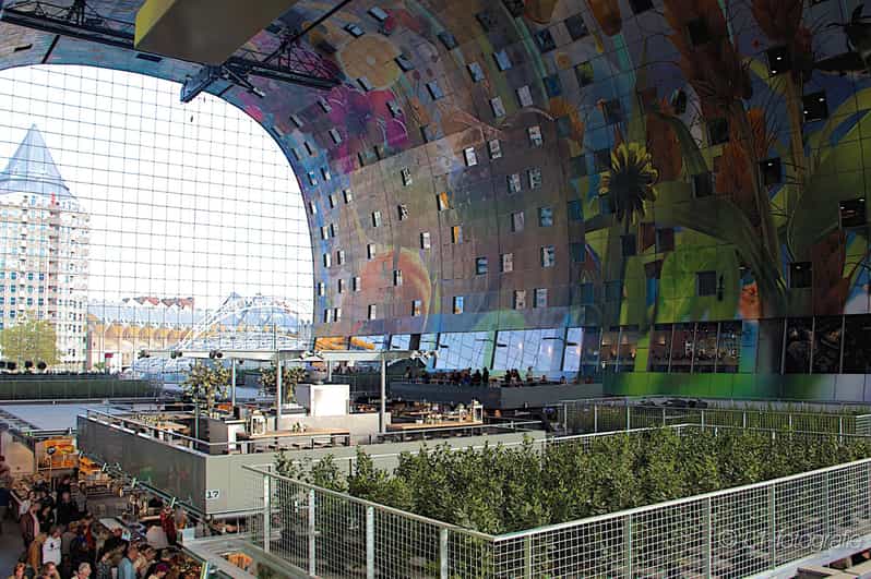 Rotterdam: City Center Walking Tour - Key points to know before you book