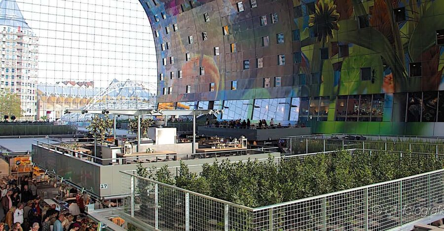 Rotterdam: City Center Walking Tour - Why this walking tour works in Rotterdam
