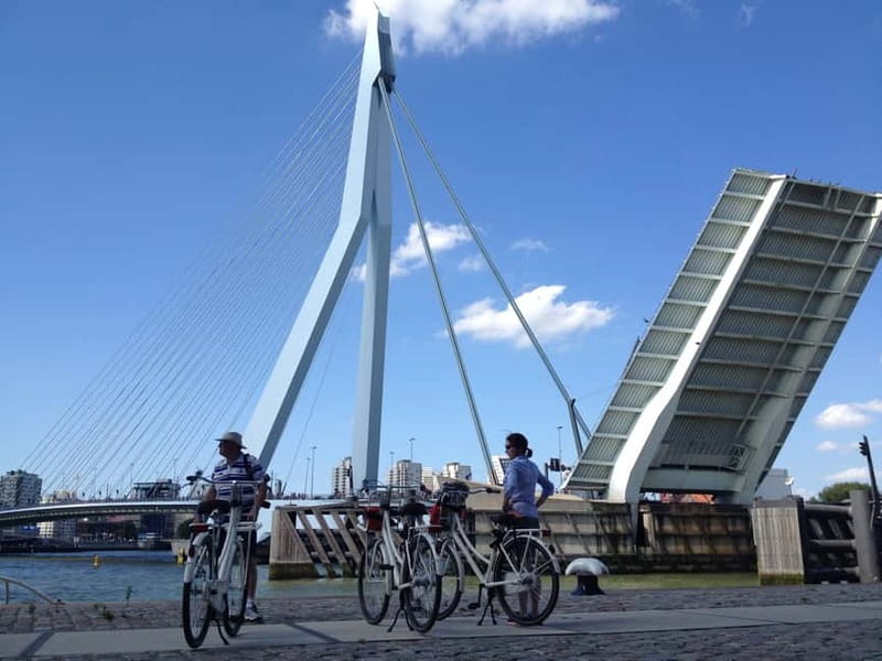 Rotterdam: City Highlights Guided Bike Tour - Cube Houses: architecture worth seeing from the saddle