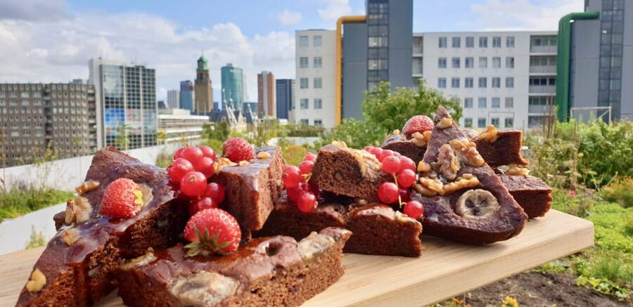 Rotterdam: Food Tour by Bike - Rotterdams architecture comes with lunch