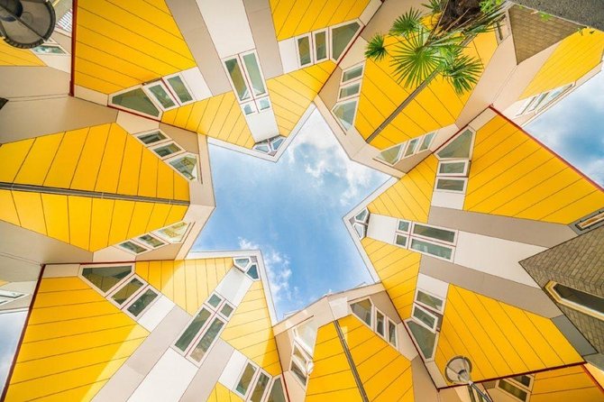 Rotterdam Highlights Private Walking Tour - Why this Rotterdam tour makes sense for a first visit
