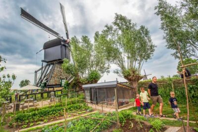 Kinderdijk UNESCO World Heritage Entry Ticket