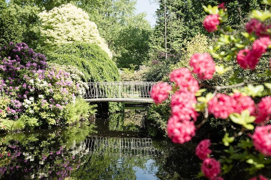 Rotterdam: Trompenburg Botanical Gardens Entry Ticket - Key points to know before visiting