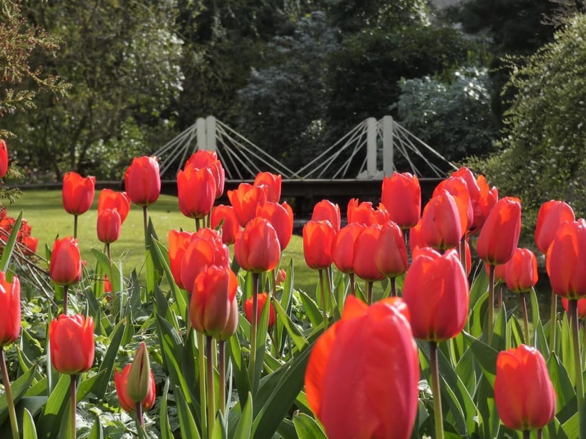Rotterdam: Trompenburg Botanical Gardens Entry Ticket - Accessibility and practical planning