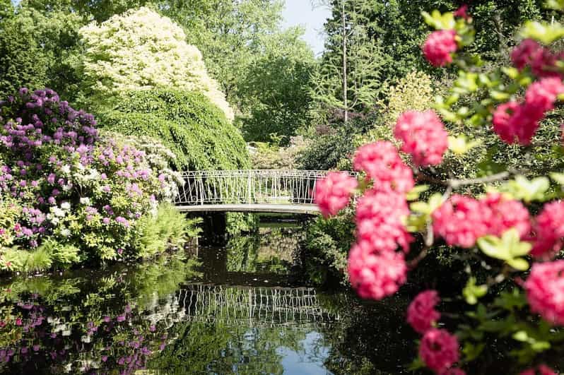 Rotterdam: Trompenburg Botanical Gardens Entry Ticket - Seasonal planting from bulbs to perennials