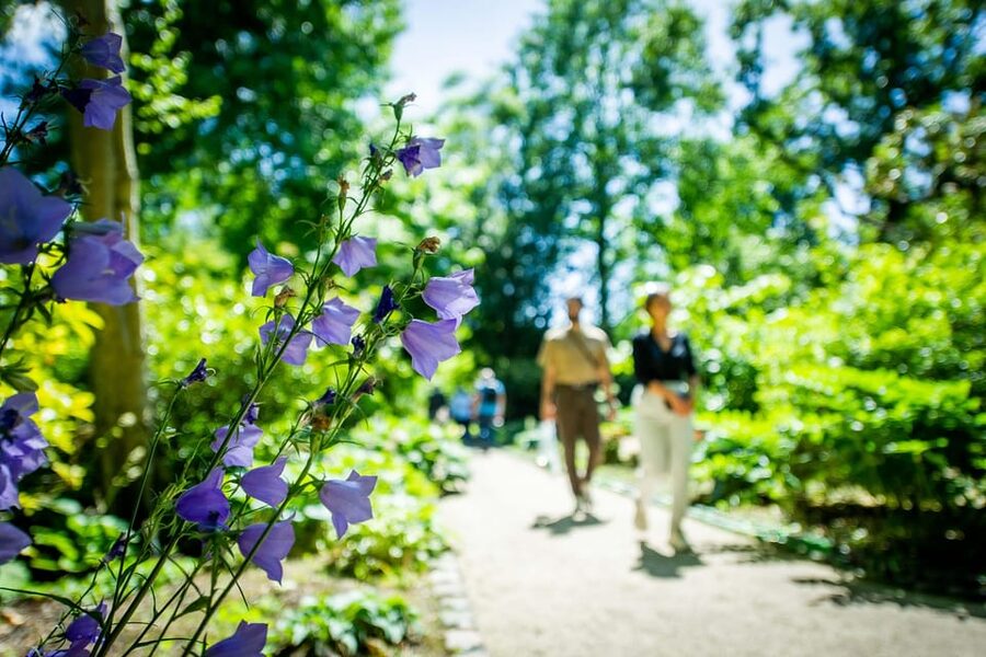 Rotterdam: Trompenburg Botanical Gardens Entry Ticket - Sunday afternoons bring extra programming
