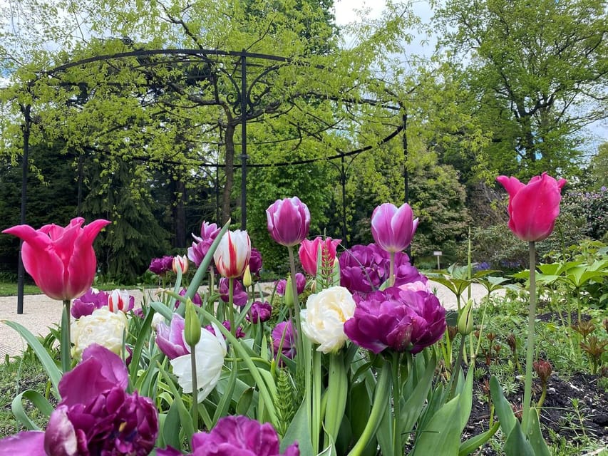 Rotterdam: Trompenburg Botanical Gardens Entry Ticket - Is $15 good value for one day?