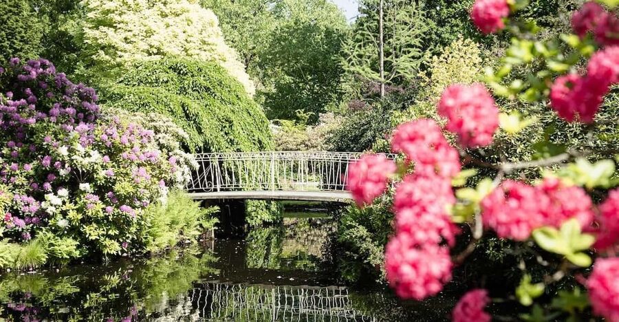 Rotterdam: Trompenburg Botanical Gardens Entry Ticket - The eight-acre garden and its mature trees