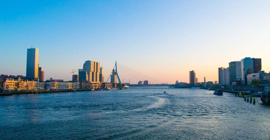 Rotterdam Walking Tour and Harbor Cruise - Market Hall combines housing, food, and a huge arch