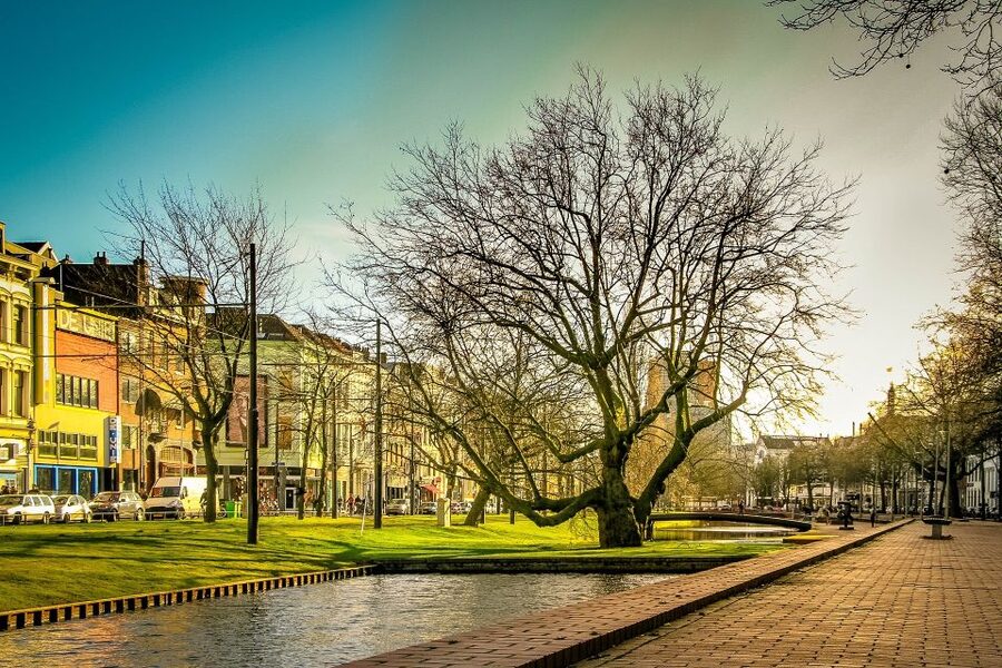 Rotterdam Walking Tour and Harbor Cruise - Is $188 per person a fair price?