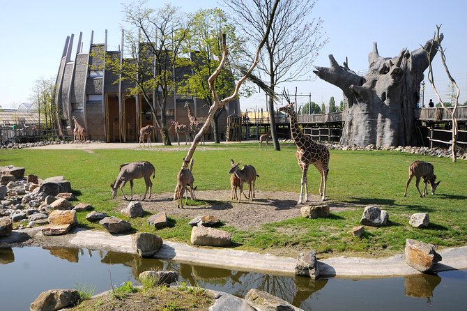 Rotterdam Zoo Diergaarde Blijdorp Direct Entrance Ticket - Key points at a glance