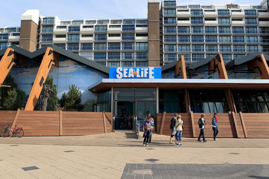 Scheveningen, The Hague: Sea Life Entry Ticket - Penguins, otter Max, and the animals you may not see