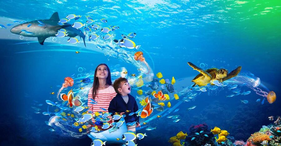 Scheveningen, The Hague: Sea Life Entry Ticket - Practical tips for a better visit