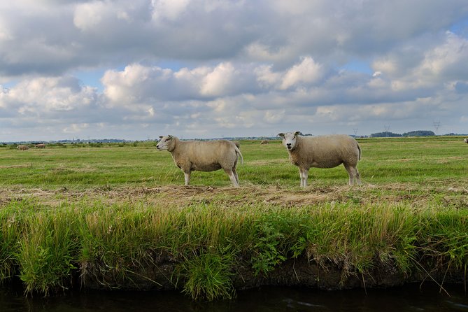 Small-Group Guided Sunset Canoe Tour in Waterland with Dinner - Is the $96.11 price fair?