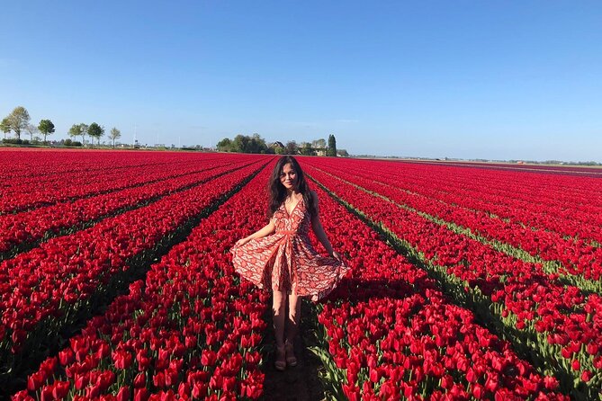 Small Group Keukenhof and Delft Guided Tour from Amsterdam - At a glance: what makes this tour different