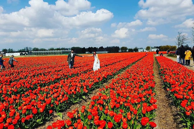 Small Group Keukenhof and Delft Guided Tour from Amsterdam - The Lisse flower fields: beautiful, but not guaranteed