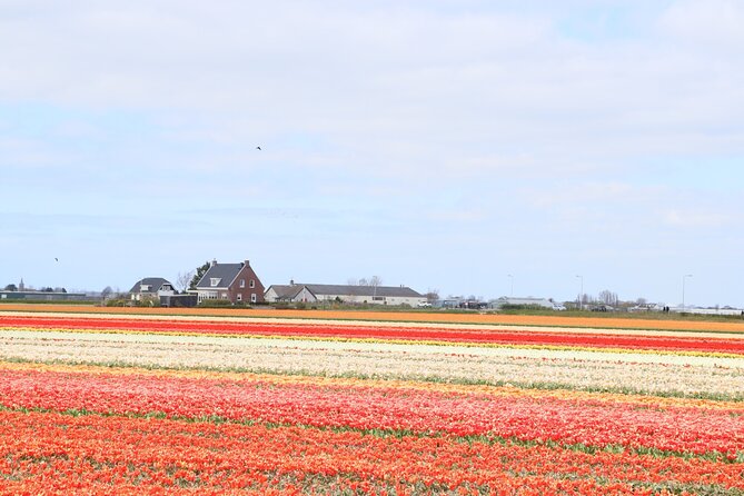 Small Group Keukenhof and Delft Guided Tour from Amsterdam - Delft’s canals, churches, and blue pottery