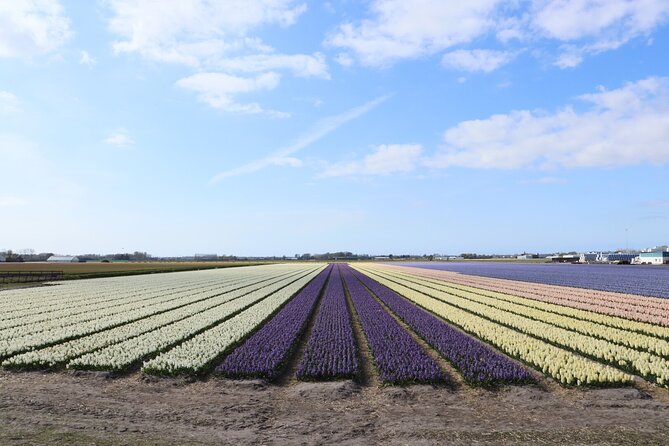 Small Group Keukenhof and Delft Guided Tour from Amsterdam - The pottery factory visit is more than a souvenir stop