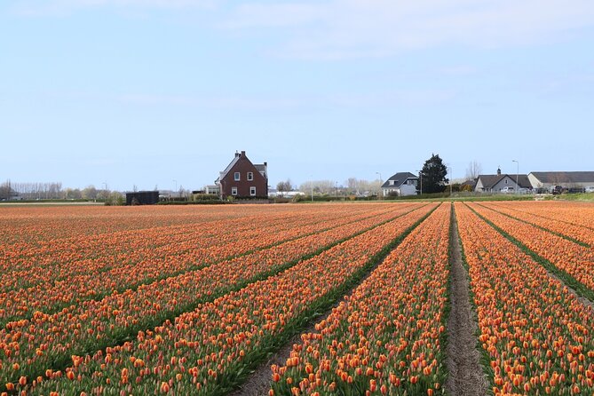 Small Group Keukenhof and Delft Guided Tour from Amsterdam - Guide quality can shape the whole day