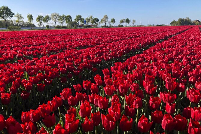 Small Group Keukenhof and Delft Guided Tour from Amsterdam - Who should book this experience?