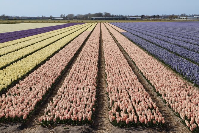 Small Group Keukenhof and Delft Guided Tour from Amsterdam - The 9:30 departure from central Amsterdam
