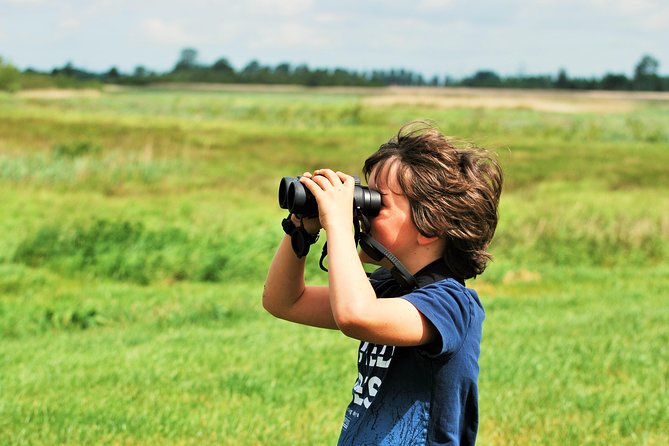 Small Group Tour to NP Hoge Veluwe (van Gogh) from Amsterdam - Weather and cancellation details to keep in mind