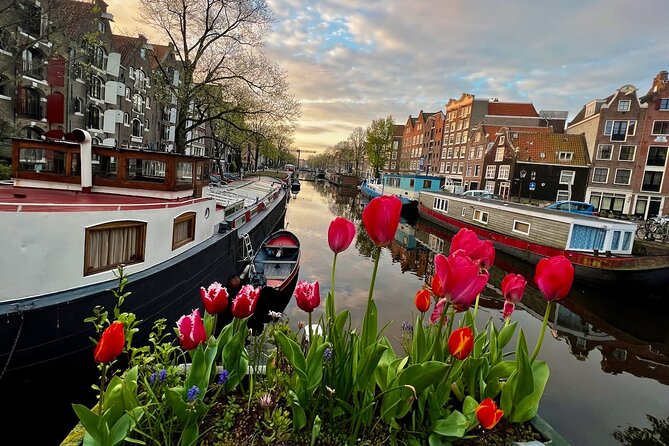 Small Group Walking Tour in Amsterdam with Friendly and Fun Guide - David, Diana, and the guide’s role