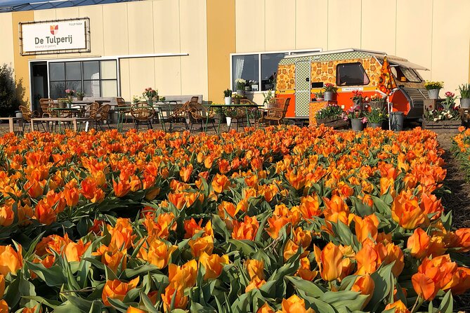 Taking Pictures in the Tulip Field at De Tulperij - Getting into the production field