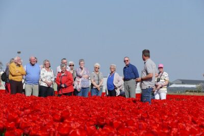 Taking Pictures in the Tulip Field at De Tulperij