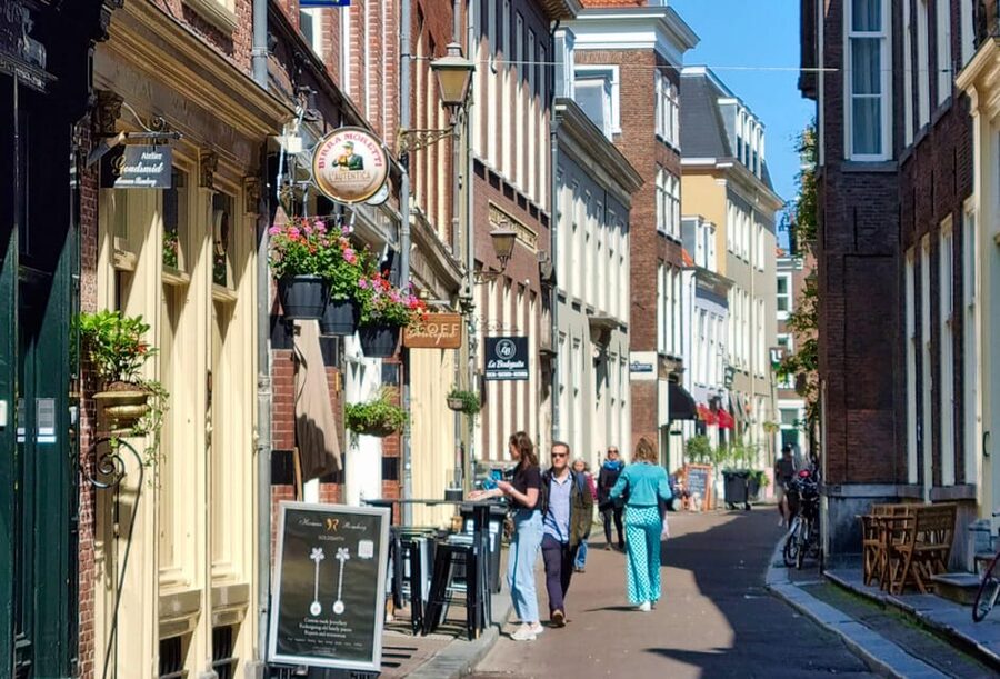 The Hague: City Walking Tour - Who Should Book This Walk?