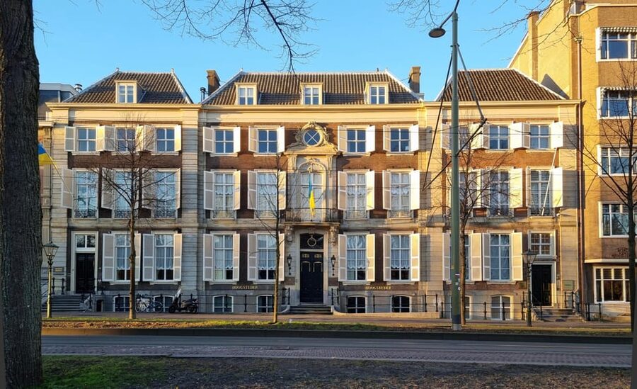 The Hague: City Walking Tour - Guide Quality and Language Choices