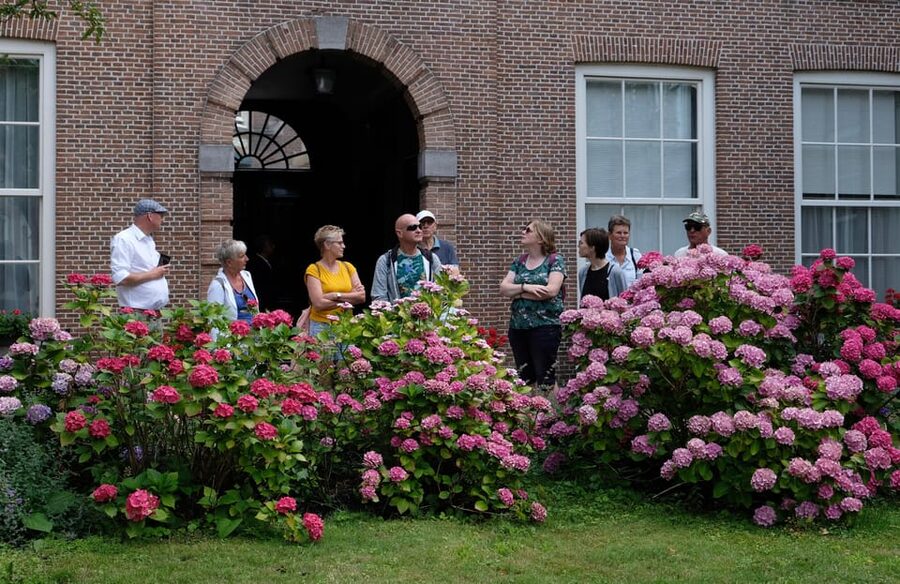 The Hague: Courtyard Walking Tour - From charity housing to peaceful modern homes