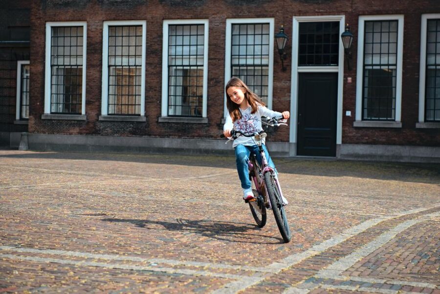 The Hague: Highlights Bike Tour - The historic center and Binnenhof