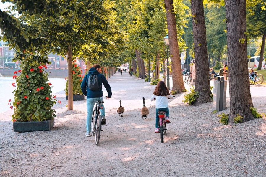 The Hague: Highlights Bike Tour - Starting in central The Hague
