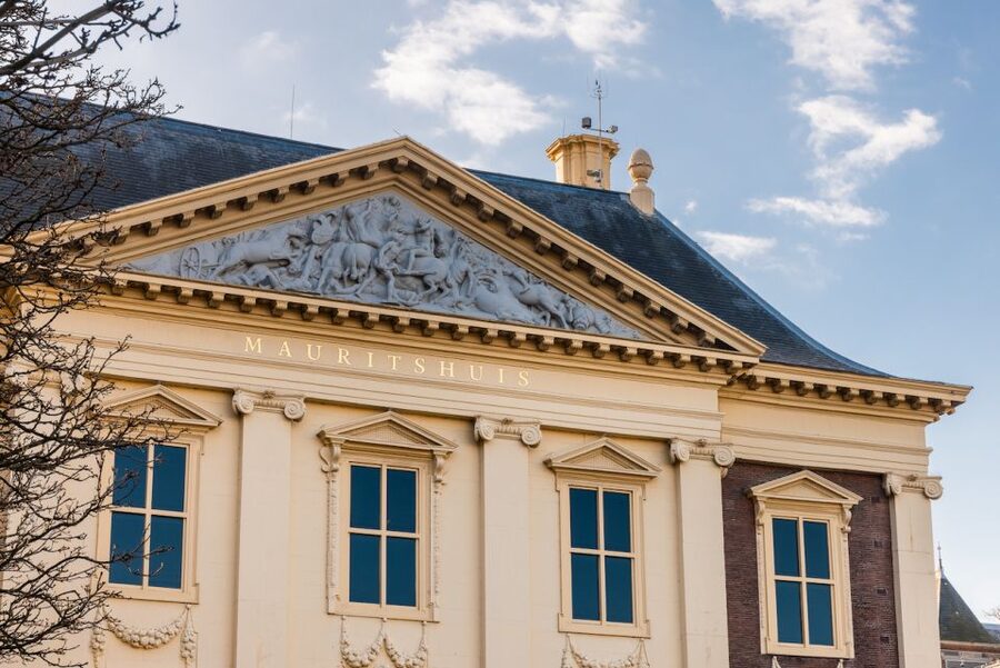 The Hague: Mauritshuis Entrance Ticket - Three Vermeer paintings, then Rembrandt and Fabritius
