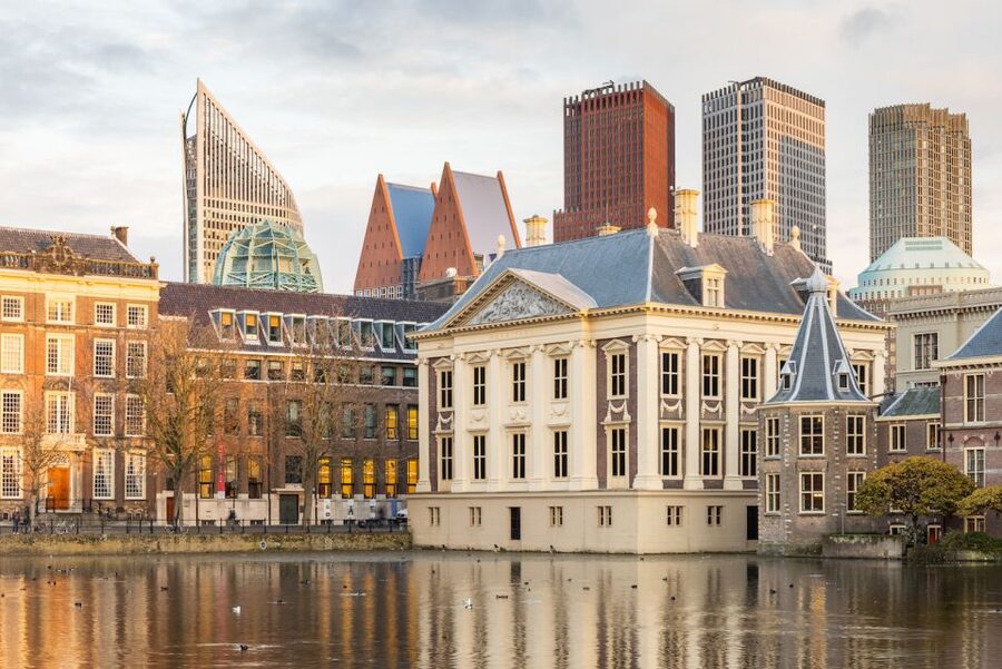 The Hague: Mauritshuis Entrance Ticket - How much value do you get for $25?