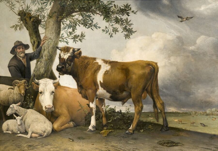 The Hague: Mauritshuis Entrance Ticket - The BIRDS exhibition in 2026