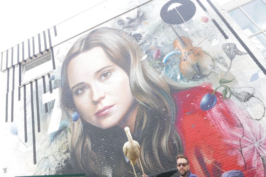 The Hague: Street Art Tour by Bike - Practical ways to get more from the experience