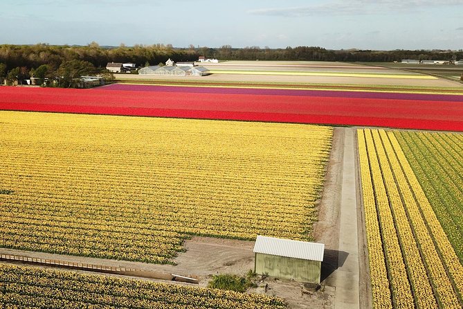 Tulip Fields near Keukenhof - Self-Drive Audio Tour for 2 People - Following the 20-kilometer Flower Bulb Region route